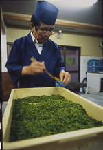 「三宝庵」の花山椒