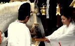 小豆粥 : 年の始めに白馬（青馬）を見ると一年の邪気が祓われるという故事にのっとり、宮中で行われていた儀式「白馬節会」（あおうまのせちえ）に由来する神事とのことです。
神前に「七草粥」を供え、神馬を曳いて「大豆を与える儀式」です。
