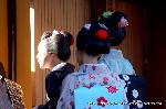 春桜・舞妓さんの舞をどり