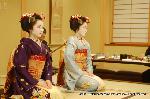 春桜・舞妓さんの舞をどり
