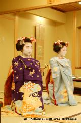 春桜・舞妓さんの舞をどり