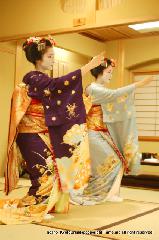 春桜・舞妓さんの舞をどり