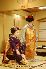 春桜・舞妓さんの舞をどり