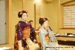 春桜・舞妓さんの舞をどり