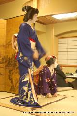 春桜・舞妓さんの舞をどり : トラトラ