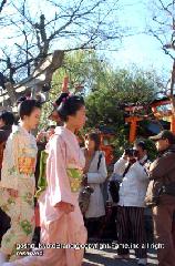 春桜・舞妓さんの舞をどり