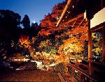temple sweets、shrine teabreak