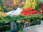 temple sweets、shrine teabreak