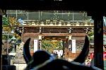 師走の京都