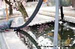 SAKURA 2008 No.2