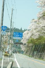 梅と松の北野さんと御霊信仰