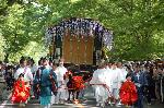 葵祭　斎王のお歯黒とふたば葵 : 藤の花で飾られた牛車(御所車)