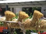 知られざる祇園祭 / 前(さき)の祭り