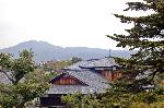築城400年二条城　お城まつり