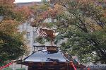菊花観賞 : 神輿の原型になった鳳輦（ホウレン）