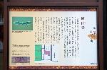 献菊　お火焚き　もみじ狩り : 源氏物語ゆかりの地