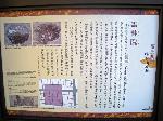献菊　お火焚き　もみじ狩り : 源氏物語ゆかりの地