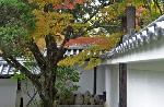 献菊　お火焚き　もみじ狩り
