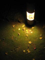 師走に漢字 : 散紅葉