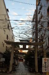 誘われて京の梅 : 管大臣天満宮の鳥居