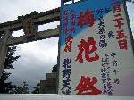 誘われて京の梅
