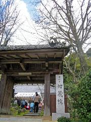 旬の桜を求めて : 木津川を見下ろせる地蔵禅院