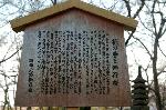 旬の桜を求めて : 高く伸びた西行桜の下に立つ駒札。