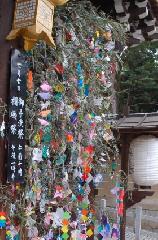 西陣の七夕 : 御手洗祭・棚機祭の行事札