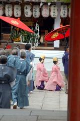 知られざる祇園祭 / 鱧祭り
