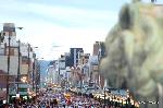 変わろうとも変わらずとも　祇園祭は祇園御霊会 : 疫病退散を祈念し三基の神輿が繰り出す