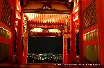 迎え火　夜まいり : 三重塔のライトアップと夜景