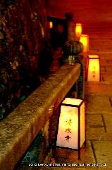 迎え火　夜まいり : 参詣道の露地行灯