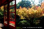 紅葉紀行　陽だまり東福寺山内