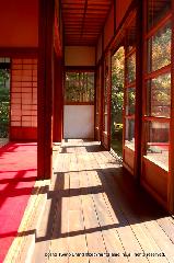 紅葉紀行　陽だまり東福寺山内 : 東光寺の方丈にて