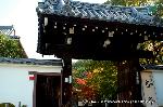 紅葉紀行　陽だまり東福寺山内 : 京料理高澤の弁当が・・・季節限定の出店