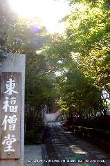 秋の物見遊山 / 紅葉見・観楓