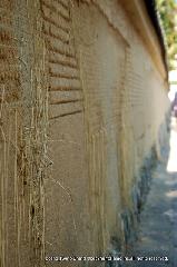 紅葉紀行　陽だまり東福寺山内 : 退耕庵の長く続く土塀