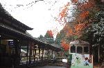 京都の狛犬達　/ 変り種