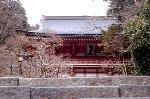 狛虎訪ねて鞍馬寺