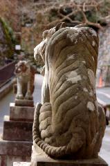 狛虎訪ねて鞍馬寺