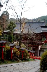 京都の狛犬達　/ 変り種