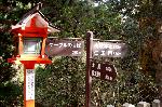 京都の狛犬達　/ 変り種