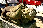 狛虎訪ねて鞍馬寺 : 狛丑