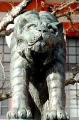 京都の狛犬達　/ 狛鼠・狛猿・狛鳶