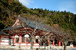 狛虎訪ねて鞍馬寺