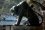 狛虎訪ねて鞍馬寺