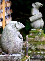 狛虎訪ねて鞍馬寺