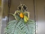 小正月を目前に : めがね注連縄