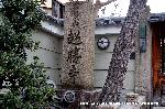 勤皇志士と京おんな : 君尾の眠る墓地がある。