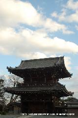 観梅　清凉寺の軒端梅 : 「五台山」の額が掛かる仁王門